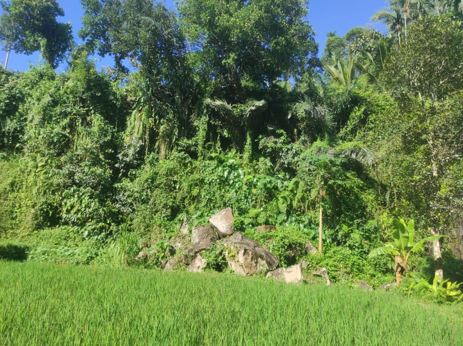 Nan Bungalows Tetebatu Exterior foto
